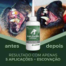 Removedor De Pelos Para Sofá e Cama - Gungla